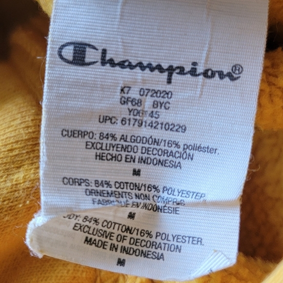 Champion Hoodie - Picture 4 of 4